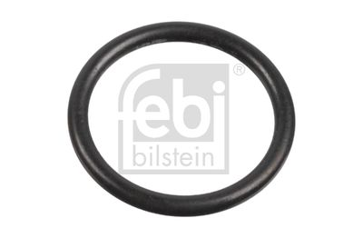 FEBI BILSTEIN 171586 Blīvgredzens, Iesmidzināšanas sprausla