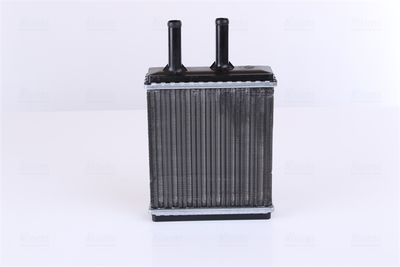 Siltummainis, Salona apsilde NISSENS 77505