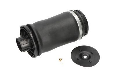 Pneimoatspere, Balstiekārta KAVO PARTS SAS-10010