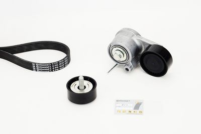  CONTINENTAL CTAM 6PK1635K1