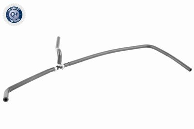 Radiatora cauruļvads VAICO V30-2901