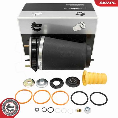 Pneimoatspere, Balstiekārta ESEN SKV 58SKV086