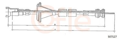 Spidometra trose COFLE 92.S07127