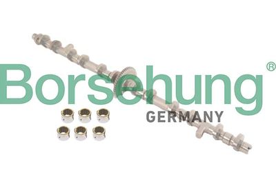 Ремкомплект, регулятор фаз газораспределения Borsehung B12679