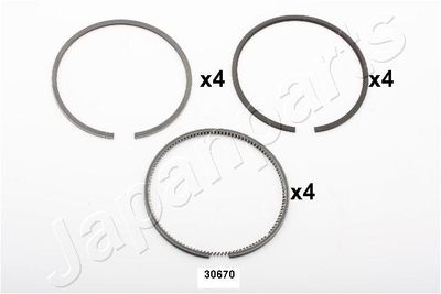 Virzuļa grdzens JAPANPARTS RW30670