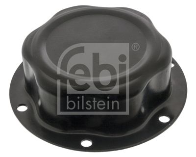 Vāks, Riteņa rumbas gultnis FEBI BILSTEIN 02296