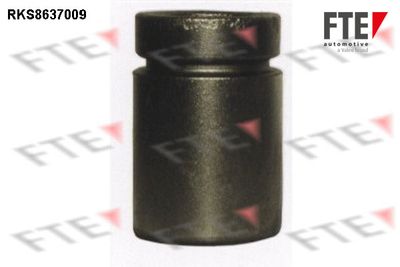 Virzulis, Bremžu suports FTE 9313351