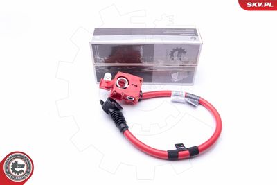ESEN SKV 96SKV306 Akumulatoru baterijas adapteris