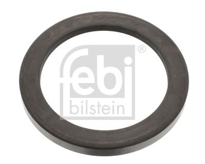 Rotējošs gredzens, Riteņa rumba FEBI BILSTEIN 11884