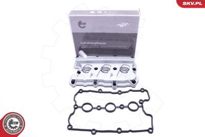 Крышка головки цилиндра ESEN SKV 48SKV051