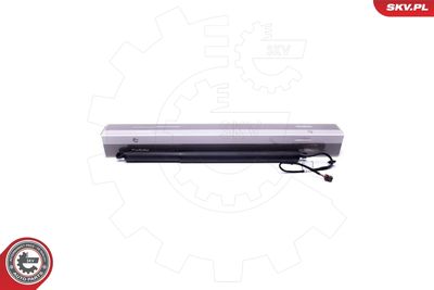 Электромотор, задняя дверь ESEN SKV 52SKV918