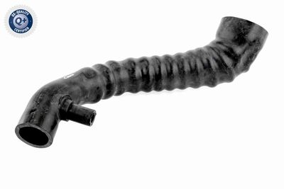 Трубка нагнетаемого воздуха VAICO V30-2242