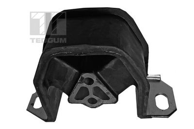 Подушка опоры, опора механической коробки передач TEDGUM 00500604