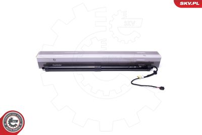 Электромотор, задняя дверь ESEN SKV 52SKV910