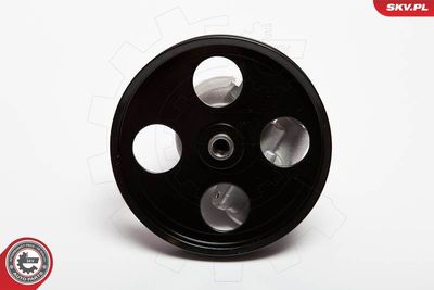 Hidrosūknis, Stūres iekārta ESEN SKV 10SKV069