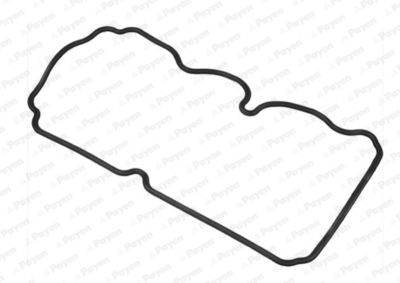 Прокладка, крышка головки цилиндра PAYEN JM5263