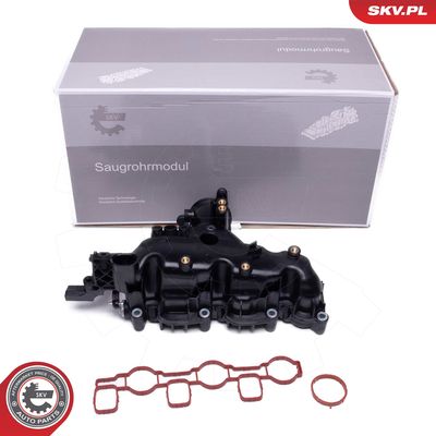 Модуль впускной трубы ESEN SKV 49SKV080