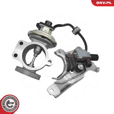 Клапан возврата ОГ ESEN SKV 14SKV315