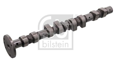 Sadales vārpsta FEBI BILSTEIN 01416