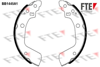 Bremžu loku komplekts FTE 9100168