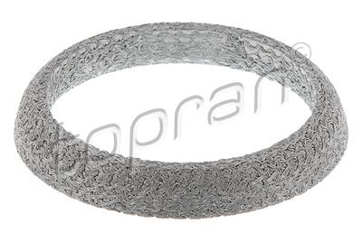 Blīve, Izplūdes caurule TOPRAN 300564