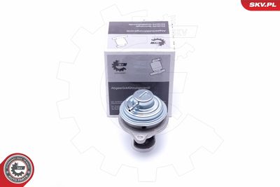 Клапан возврата ОГ ESEN SKV 14SKV182