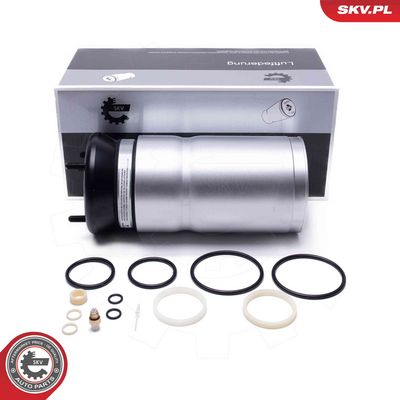 Pneimoatspere, Balstiekārta ESEN SKV 58SKV089