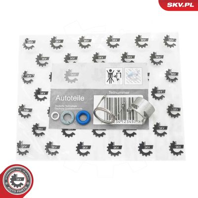 Ремкомплект, распылитель ESEN SKV 53SKV295