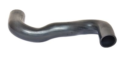 Pūtes sistēmas gaisa caurule BUGIAD 88723