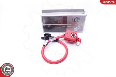 Адаптер аккумуляторной батареи ESEN SKV 96SKV301