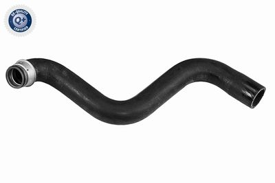 Radiatora cauruļvads VAICO V42-0761