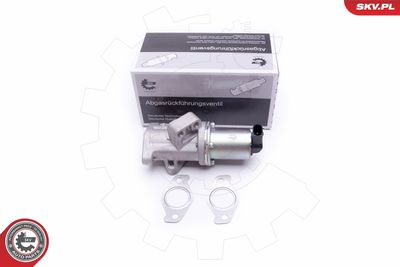Клапан возврата ОГ ESEN SKV 14SKV212