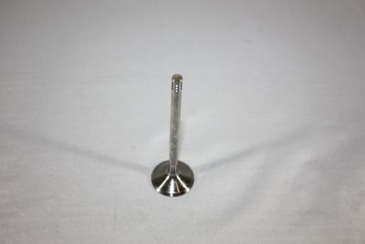 Впускной клапан AUTOMEGA 130106910