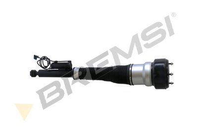 Pneimoatsperes statnis BREMSI SA2055