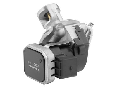 Izpl. gāzu recirkulācijas vārsts BorgWarner 7504D