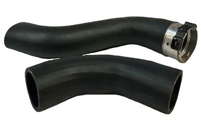 Pūtes sistēmas gaisa caurule BUGIAD 81870