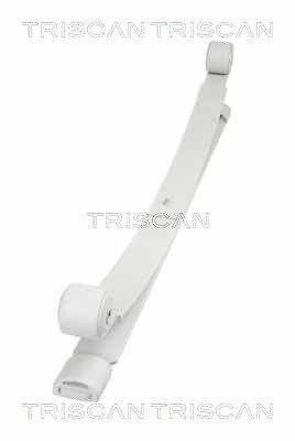 Многолистовая рессора TRISCAN 876 516 041