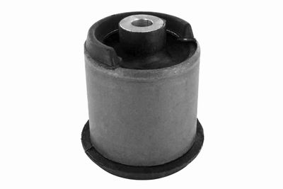 Piekare, Tilta sija VAICO V10-1411