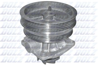 Водяной насос, охлаждение двигателя DOLZ S216