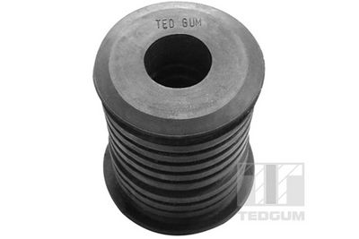 Piekare, Šķērssvira TEDGUM 00116567