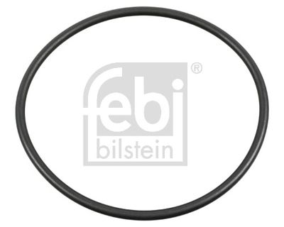 Blīvgredzens, Riteņa rumba FEBI BILSTEIN 179283