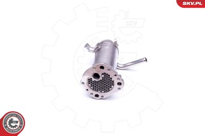 Radiators, Izplūdes gāzu recirkulācija ESEN SKV 14SKV195