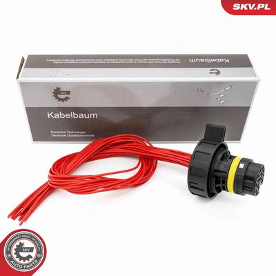 Pārslēdzējvārsts, Automātiskā pārnesumkārba ESEN SKV 53SKV029
