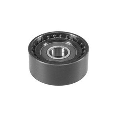 Parazīt-/Vadrullītis, Ķīļsiksna MAGNETI MARELLI 331316170014