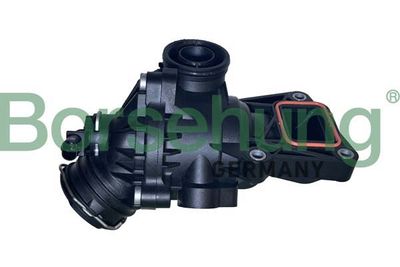 termostat Borsehung B10559