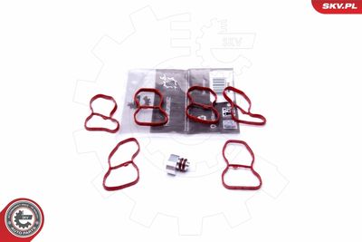 Ремкомплект, модуль впускного коллектора ESEN SKV 49SKV516