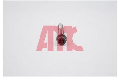 Комплект болтов головки цилидра AMC 258010