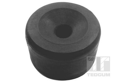 Опора, рама автомобиля TEDGUM 00376204