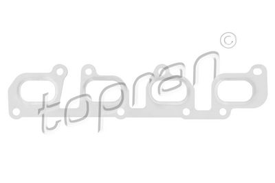 Blīve, Izplūdes kolektors TOPRAN 120 069