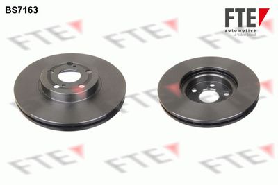 Тормозной диск FTE 9072208